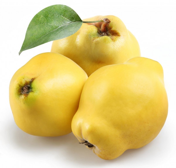 Marmelo