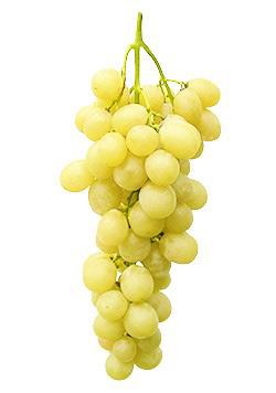 Uvas Brancas Sem Grainha