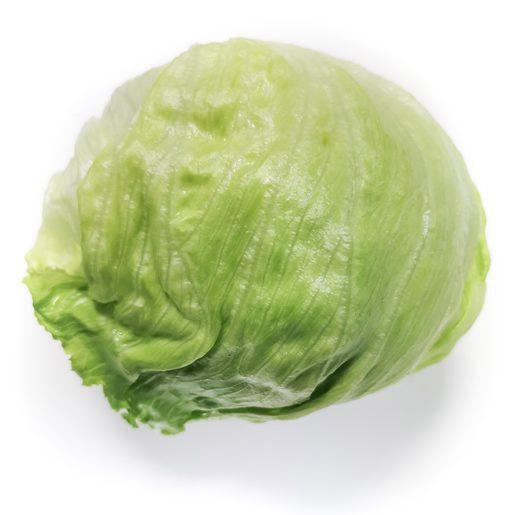 Alface IceBerg