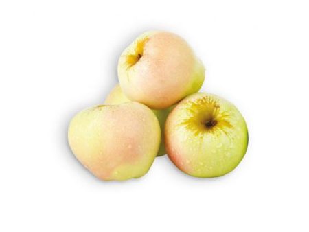 Maçã Bravo Esmolfe